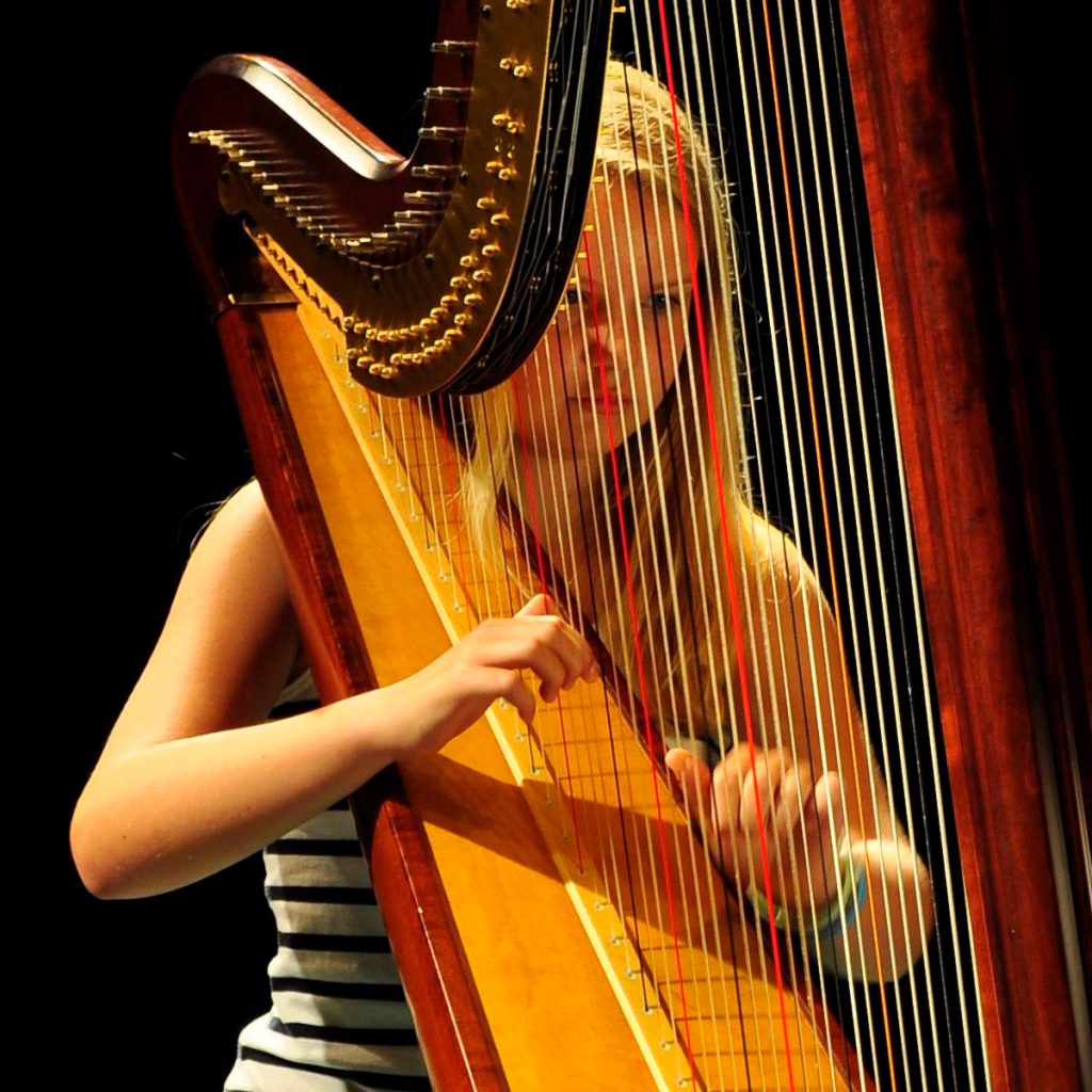 Harp