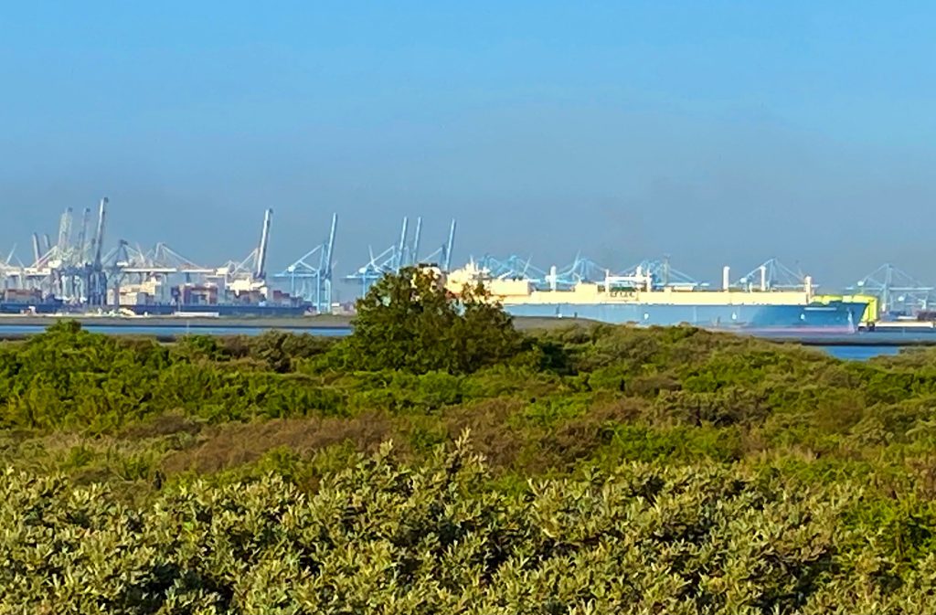 T&S Het landschap van nu