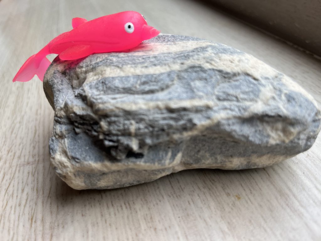 Galerie De Witte Ezel Het Avontuur van Vis